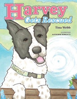 Paperback Harvey Gets Rescued Book