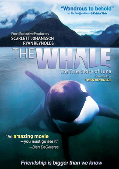 DVD The Whale Book