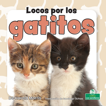 Paperback Locos Por Los Gatitos (Crazy about Kittens) [Spanish] Book