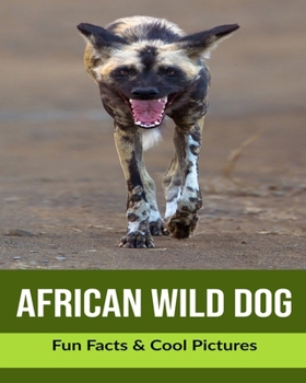African Wild Dog: Fun Facts & Cool Pictures