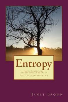 Paperback Entropy: Life, Death, and Everything In Between Color Edition Book