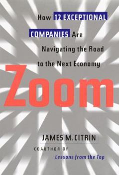 Hardcover Zoom: How 12 Exceptional Companies Are Navigating the Road to the Next Economy Book