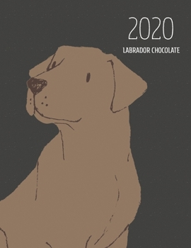 2020 Labrador Chocolate: Dated Weekly Planner With To Do Notes & Dog Quotes - Labrador Chocolate Brown (Awesome Calendar Planners for Dog Owners Dark)