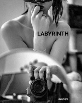 Paperback Labyrinth [French] Book