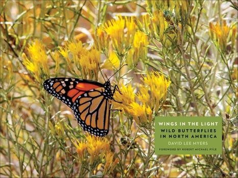 Hardcover Wings in the Light: Wild Butterflies in North America Book