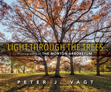 Hardcover Light Through the Trees: Photographs at the Morton Arboretum Book