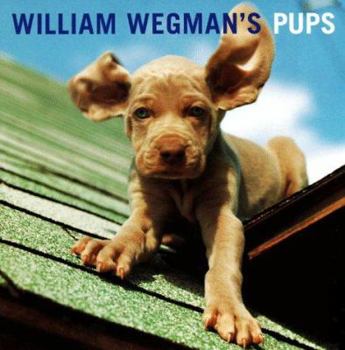 Hardcover William Wegman's Pups Book