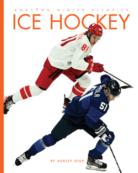 Library Binding Ice Hockey Book