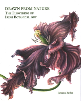 Hardcover Drawn from Nature: The Flowering of Irish Botanical Art Book