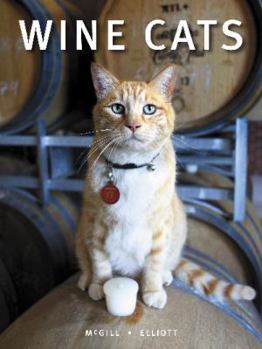 Hardcover Wine Cats Book