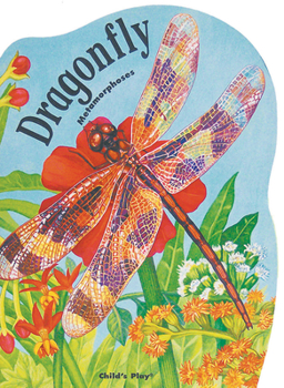 Dragonfly (Metamorphoses)