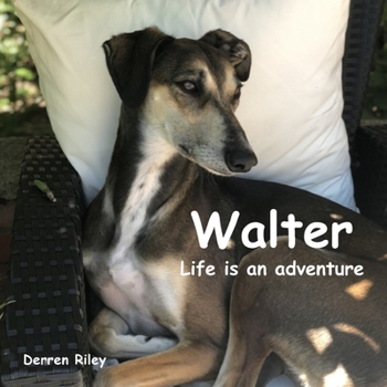 Paperback Walter, Life is an adventure Book