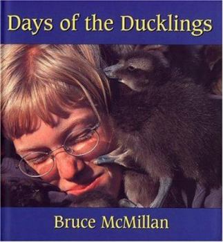 Hardcover Days of the Ducklings Book