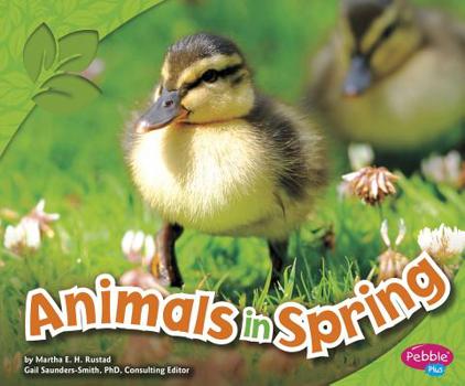Animals in Spring - Book  of the All about Spring