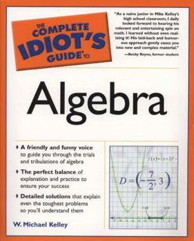 Paperback The Complete Idiot's Guide to Algebra Book