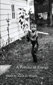 Paperback A Portrait of Energy Book