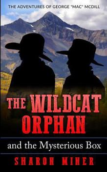 Paperback The Wildcat Orphan and the Mysterious Box Book