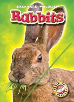 Rabbits - Book  of the Backyard Wildlife