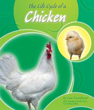 Hardcover The Life Cycle of a Chicken Book