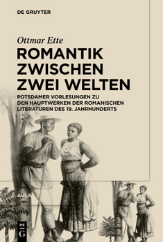 Hardcover Romantik Zwischen Zwei Welten: Potsdamer Vorlesungen Zu Den Hauptwerken Der Romanischen Literaturen Des 19. Jahrhunderts [German] Book
