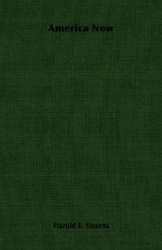 America now, an inquiry into civilization in the United States