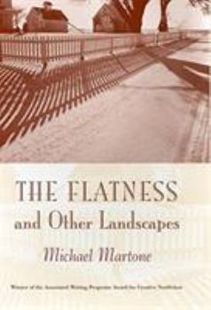 Hardcover The Flatness and Other Landscapes Book