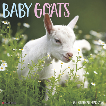 Calendar Baby Goats 2020 Wall Calendar Book
