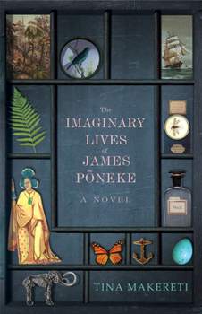 Paperback The Imaginary Lives of James Poneke Book
