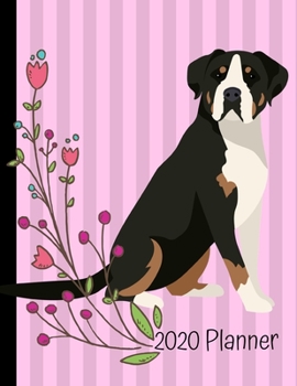 2020 Planner: Greater Swiss Mountain Dog Pink 2020 Monthly Planner Organizer Undated Calendar And ToDo List Tracker Notebook