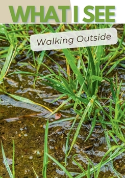 Paperback What I See Walking Outside Book