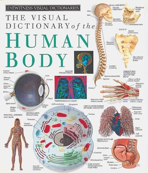 Hardcover Eyewitness Visual Dictionaries: The Visual Dictionary of the Human Body Book