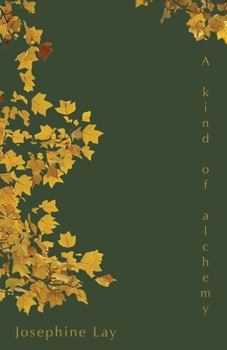 Paperback A kind of alchemy Book