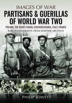 Partisans & Guerrillas of World War Two: Poland, the Soviet Union, Czechoslovakia, Italy, France