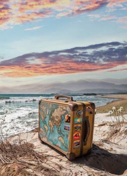 Paperback Yellow Suitcase Book