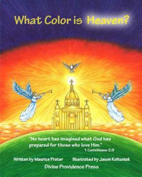 Paperback What Color Is Heaven? Book