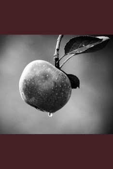 Paperback Reclamation Book