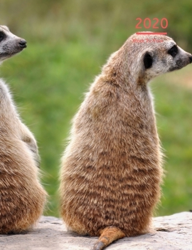 2020 A4 Diary Week To View Planner For All Occasions: | Year Planner For Business, Office, Home, University, College, School, Appointments, Organizer.