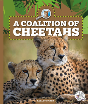 Library Binding A Coalition of Cheetahs Book