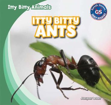 Library Binding Itty Bitty Ants Book