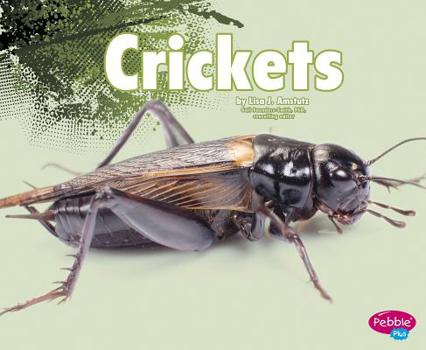 Crickets - Book  of the Creepy Crawlers