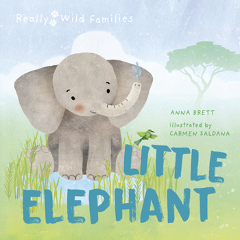 Hardcover Little Elephant: A Day in the Life of a Elephant Calf Book