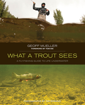 Paperback What a Trout Sees: A Fly-Fishing Guide to Life Underwater Book