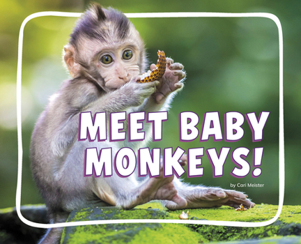 Library Binding Meet Baby Monkeys! Book