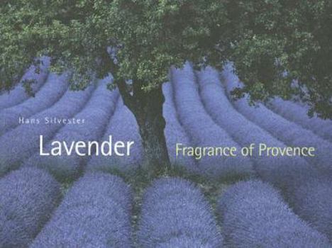 Hardcover Lavender: Fragrance of Provence Book