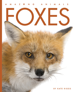 Foxes - Book  of the Amazing Animals