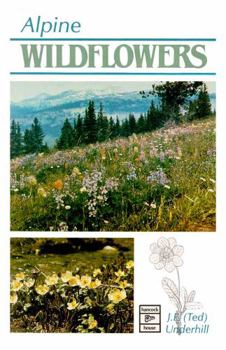 Paperback Alpine Wildflowers: GuideBook Book