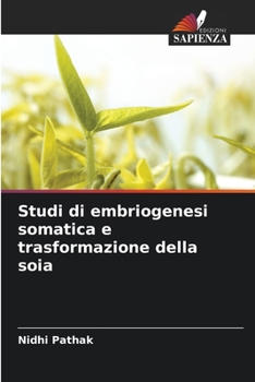 Paperback Studi di embriogenesi somatica e trasformazione della soia [Italian] Book