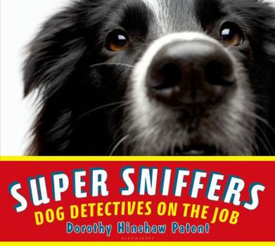 Hardcover Super Sniffers: Dog Detectives on the Job Book