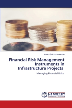 Paperback Financial Risk Management Instruments in Infrastructure Projects Book