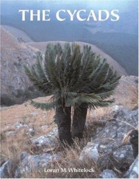 Hardcover The Cycads Book